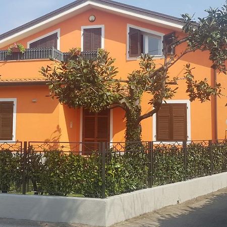 New Life Carrara Exterior foto
