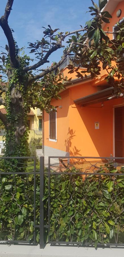 New Life Carrara Exterior foto